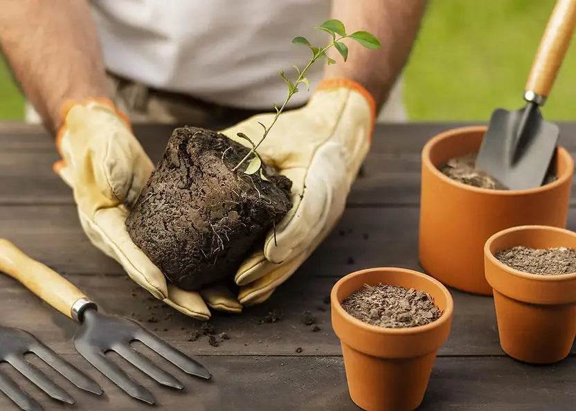 Garden Picks™ SoilSmart 3-Piece Set